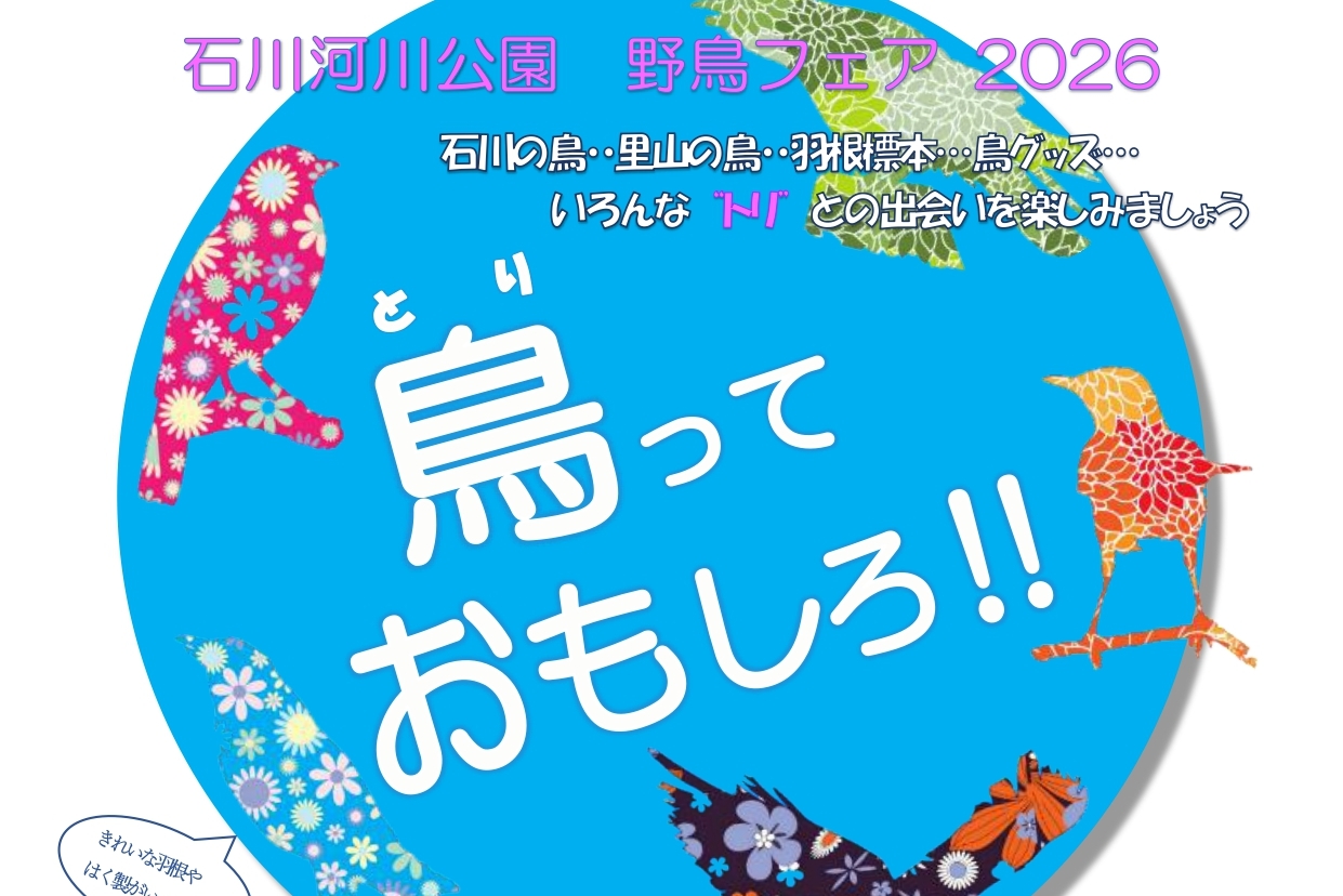 石川河川公園 野鳥フェア 2026 「鳥っておもしろ！！」 | 日本野鳥の会 