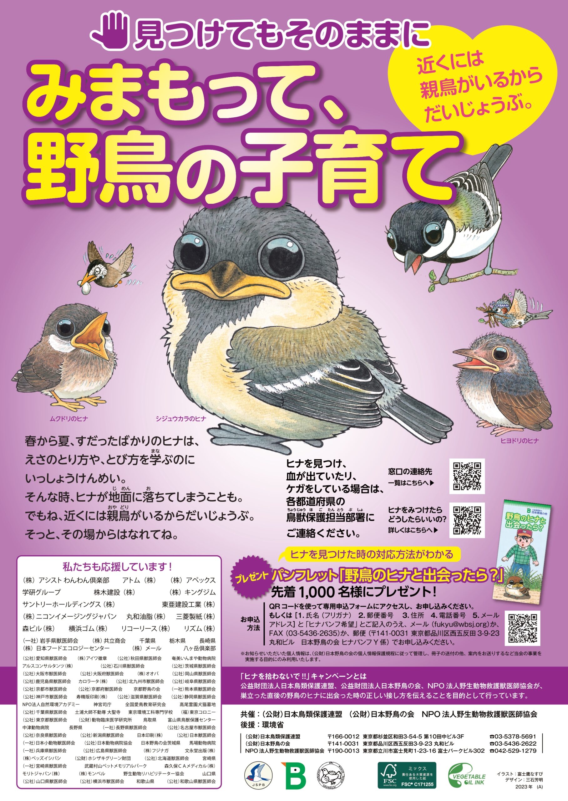 落ちている鳥を見つけたら | 日本野鳥の会大阪支部ホームページ